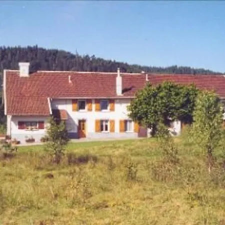 Paisible Avec Terrasse Et Wifi, Proche De Gerardmer - 2 Chambres, Animaux Acceptes - Fr-1-589-216 Liézey