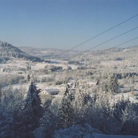 Paisible Avec Terrasse Et Wifi, Proche De Gerardmer - 2 Chambres, Animaux Acceptes - Fr-1-589-216 別荘 *