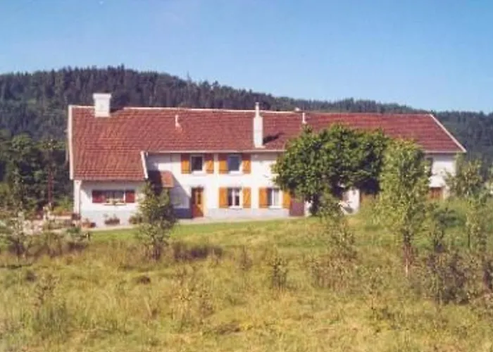 Paisible Avec Terrasse Et Wifi, Proche De Gerardmer - 2 Chambres, Animaux Acceptes - Fr-1-589-216 Liézey