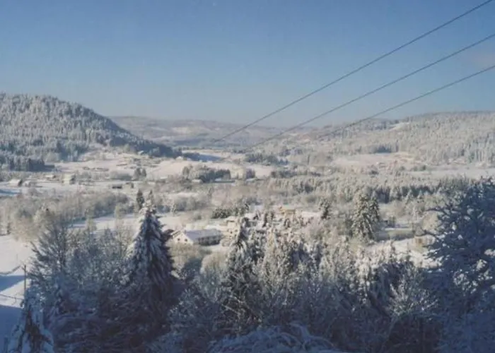 Paisible Avec Terrasse Et Wifi, Proche De Gerardmer - 2 Chambres, Animaux Acceptes - Fr-1-589-216 Prázdninový dům *